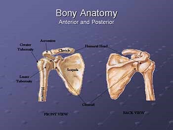 Shoulder Problem Evaluation
