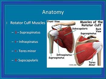 History and Physical Examination of the Shoulder