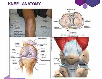 Common Musculoskeletal Problems in Primary Care