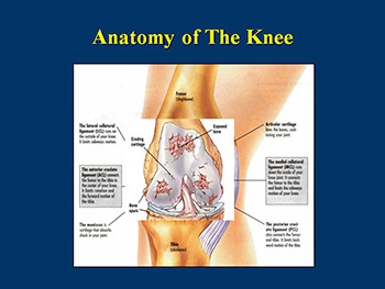 Osteoarthritis Knee