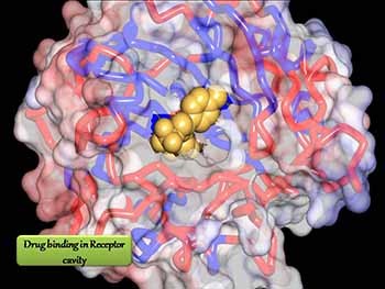 COMPUTER AIDED DRUG DESIGN DEPARTMENT