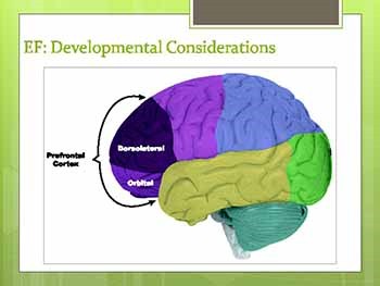 Diagnosing ADHD-Conducting Valid Comprehensive and Collaborative Assessments