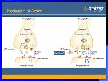 The Diagnosis and Treatment of ADHD