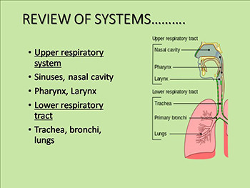 Approaches to Common Pediatric Disease and Injury