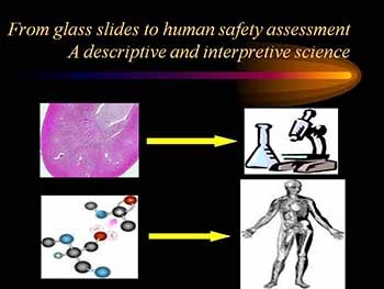 The Role of Pathology in Drug Safety Evaluation