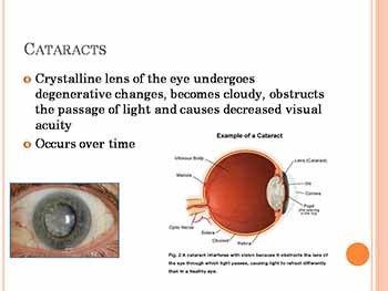 Introduction to Human Disease