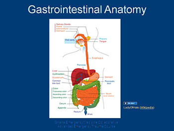 Gastrointestinal and Genitourinary Trauma