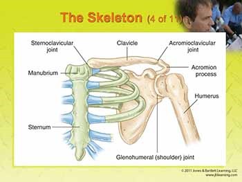 Orthopaedic Injuries