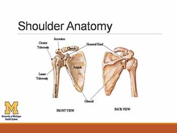 Evaluation of the Painful Shoulder