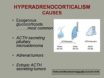 ENDOCRINE DISORDERS in the ELDERLY - PAGETS DISEASE and ADRENAL DISEASES