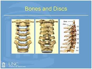 Neck Pain Frequently Asked Questions