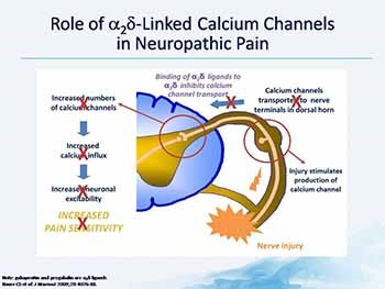 Goals of treatment in managing cancer-related pain