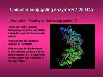 Huntingtons Disease