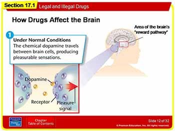 Legal and Illegal Drugs