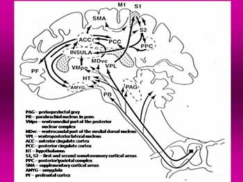 PATHOPHYSIOLOGY OF PAIN