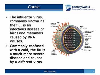 Influenza-Protecting Your Employees