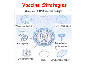 IMMUNITY and PRINCIPLES OF VACCINATION