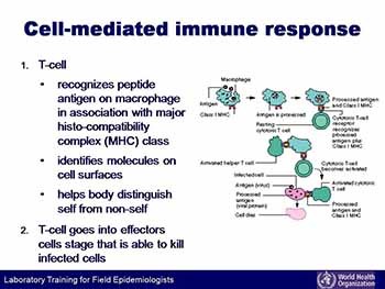 Basic immunology