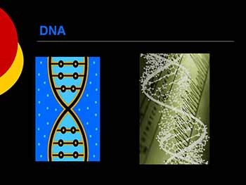 The History and Scope of Microbiology