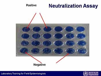 Antigen and antibody detection