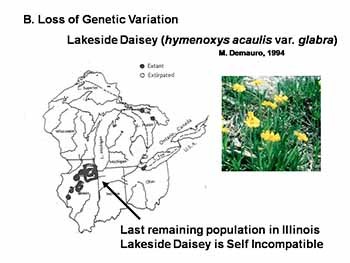 Conservation Genetics-Lessons from Population and Evolutionary Genetics