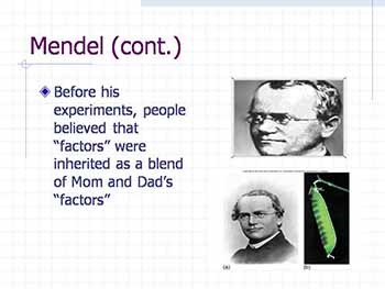 Classical Mendelian Genetics