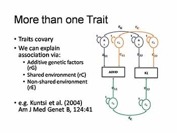 Behavior Genetics