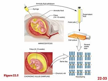 MEDICAL GENETICS AND CANCER