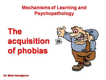 The Acquisition of Phobias