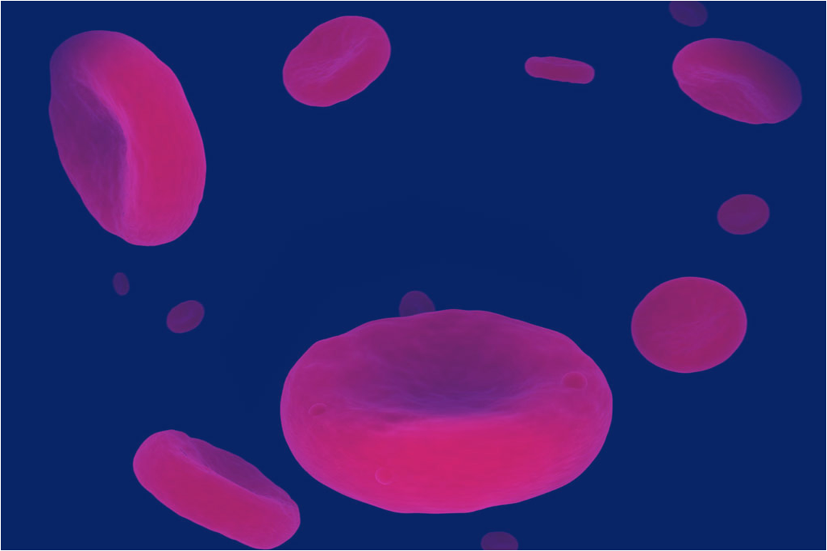 Blood Physiology and Mechanism of Blood Clotting Medical Presentation
