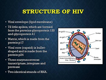 Human Immunodeficiency Virus