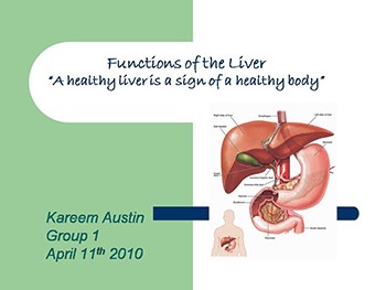 Functions of the Liver