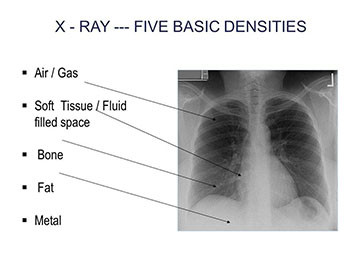 Radiology Introduction