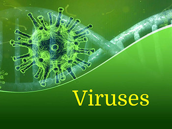 Viruses