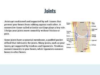 All about Arthritis