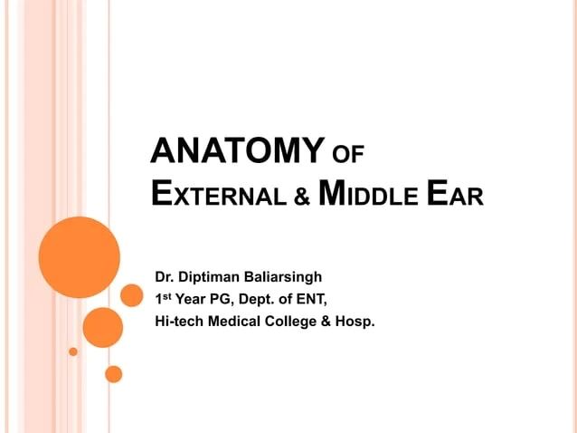 Anatomy Of The Ear Ppt 0914 Anatomy Of Cochlea Of Human Ear Medical