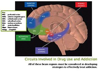 The Rationale and Science on Addiction Recovery Support Services