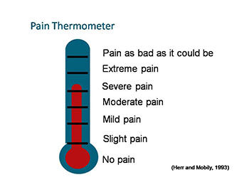 Pain Management in Elderly Patients