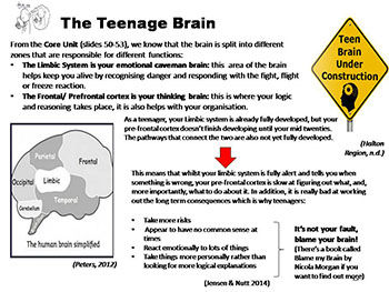 Drugs and How they Affect the Teenage Brain