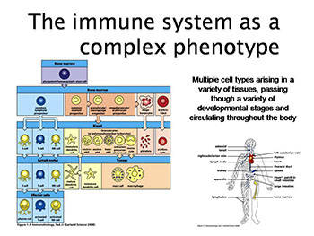 The biochemistry and genetics of autoimmune disease