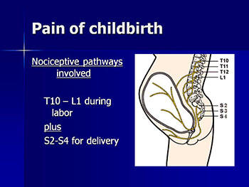 Obstetrical Anesthesia