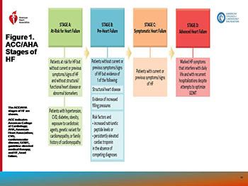 Guideline for the Management of Heart Failure 