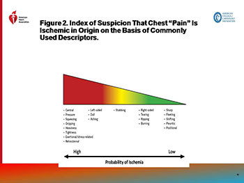 Guideline for the Evaluation and Diagnosis of Chest Pain 