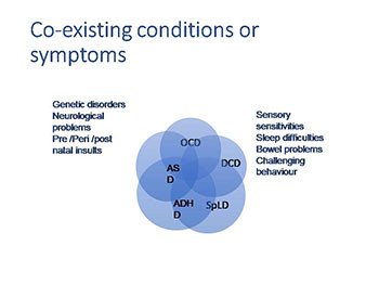 Autism Spectrum Disorder in Children