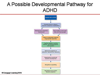 Attention Deficit Hyperactivity Disorder (ADHD)