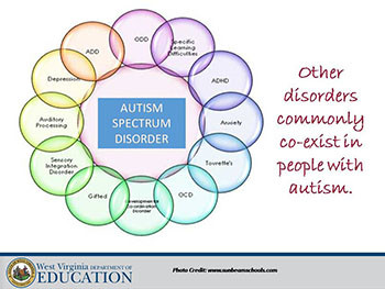 Instructional Strategies for Students with Autism Spectrum Disorder