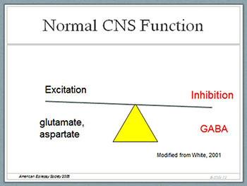 Overview of Seizures and Epilepsy