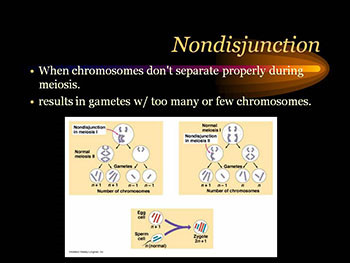 Human Genetic Disorders