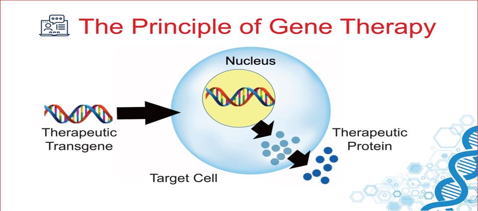 Somatic Gene Therapy Ppt
