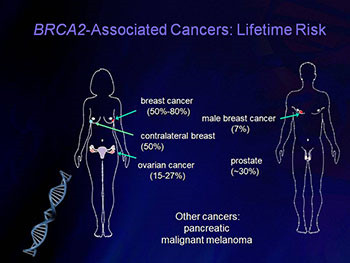 Introduction To Cancer Genetics